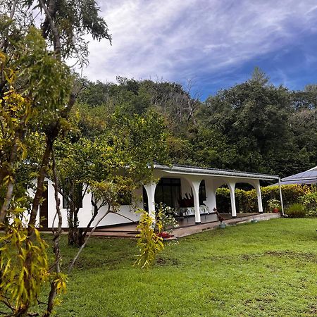 Atuona Tiki Lodge Hiva Oa المظهر الخارجي الصورة