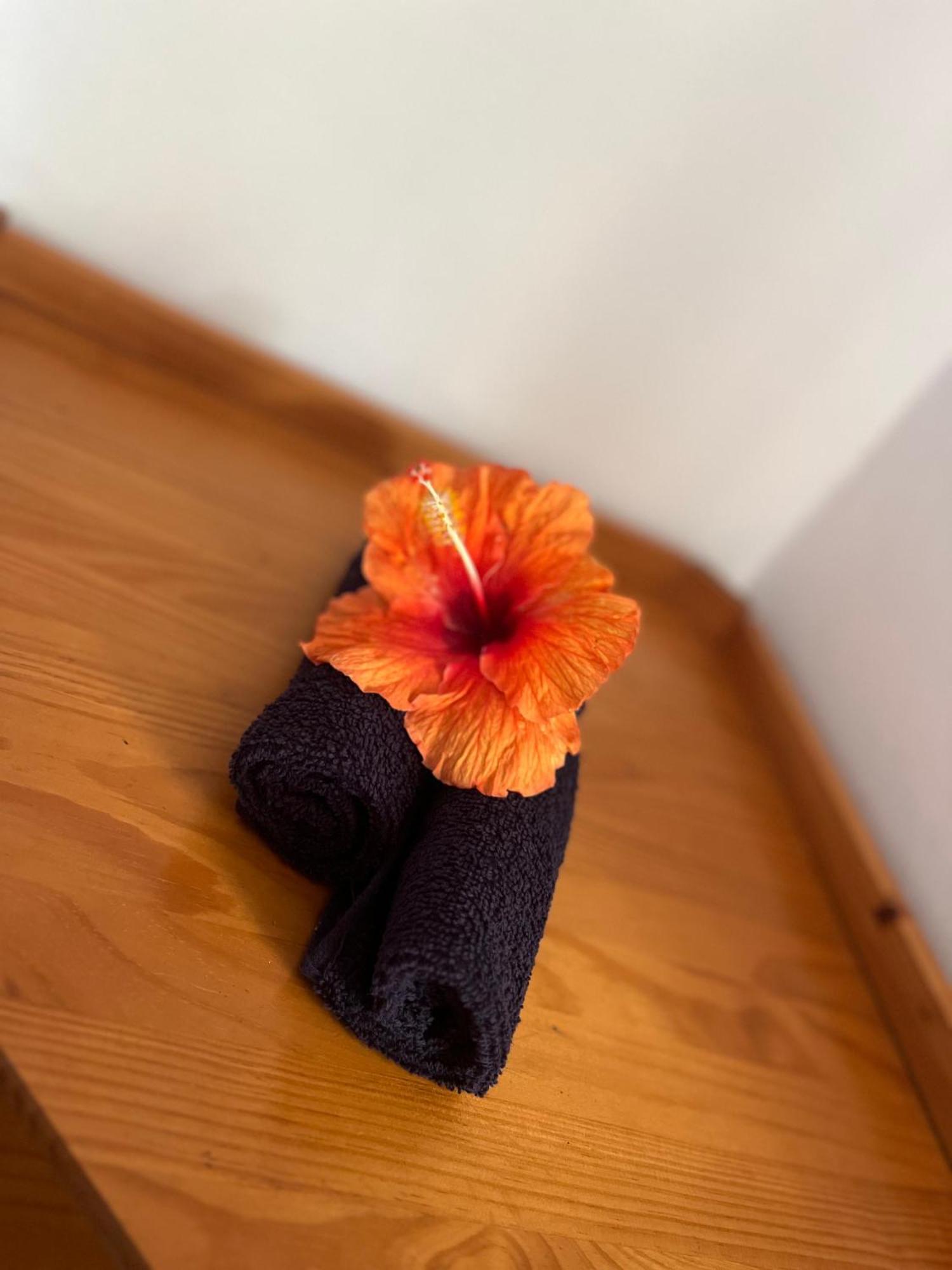 Atuona Tiki Lodge Hiva Oa المظهر الخارجي الصورة