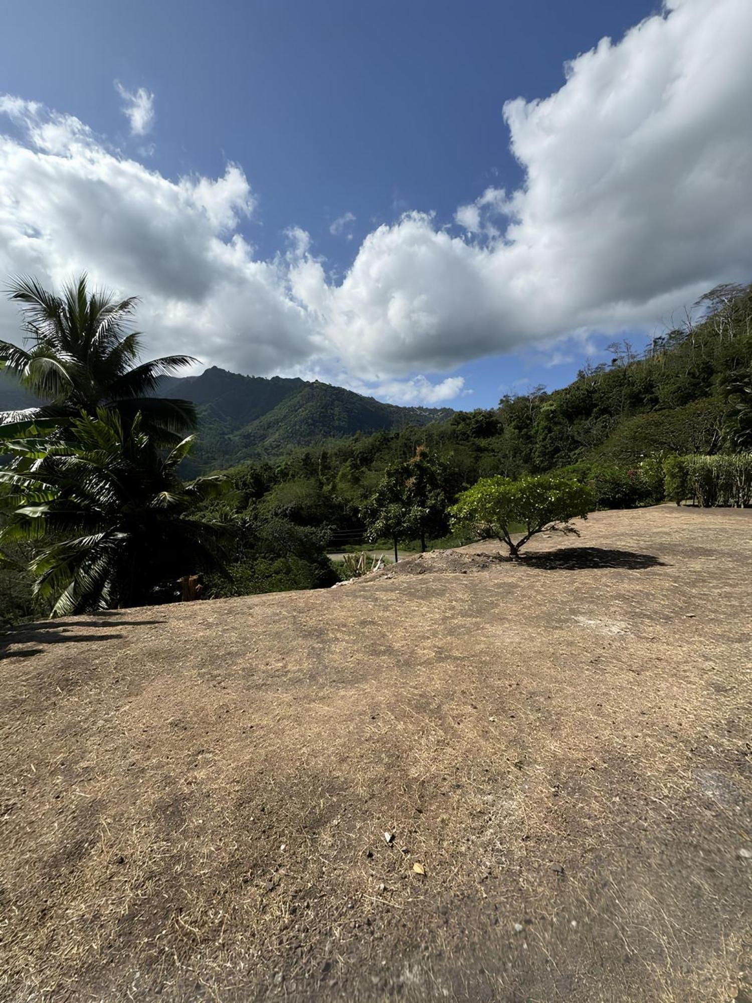 Atuona Tiki Lodge Hiva Oa المظهر الخارجي الصورة